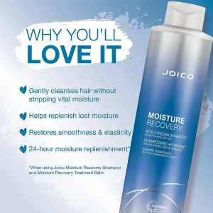 Joico Moisture Recovery Moisturizing Shampoo / Conditioner