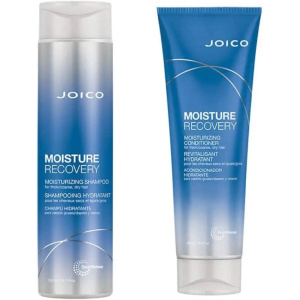 Joico Moisture Recovery Moisturizing Shampoo / Conditioner